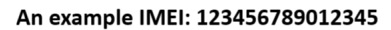 imei_example_sept.jpg